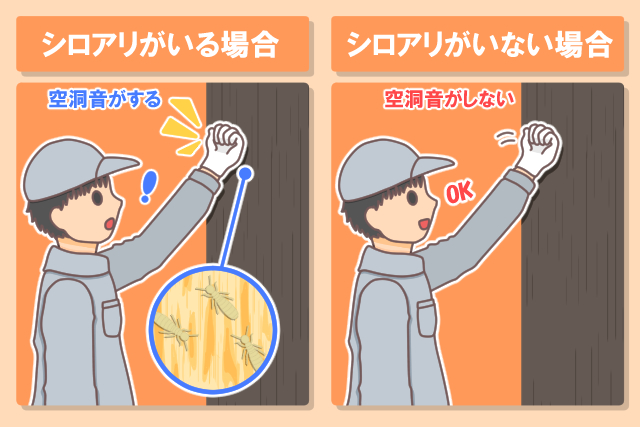 シロアリがいる場合　いない場合　空洞音で確認する